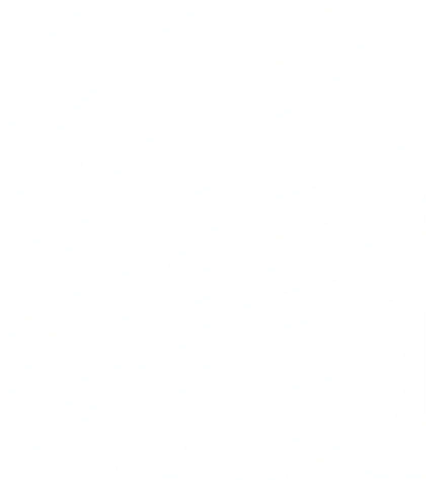 WIZJA Interior Design Studio, logo